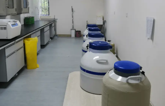 液氮罐 液氮罐