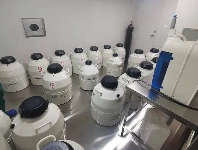 液氮罐 液氮罐